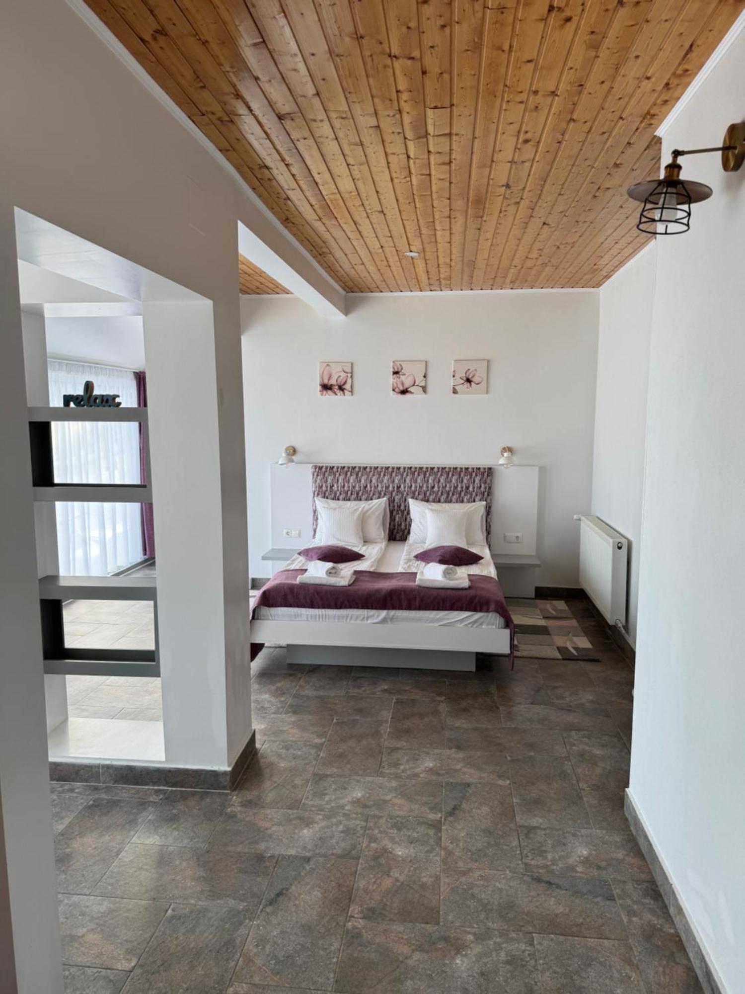 Red Family Apartments Păltiniş 客房 照片
