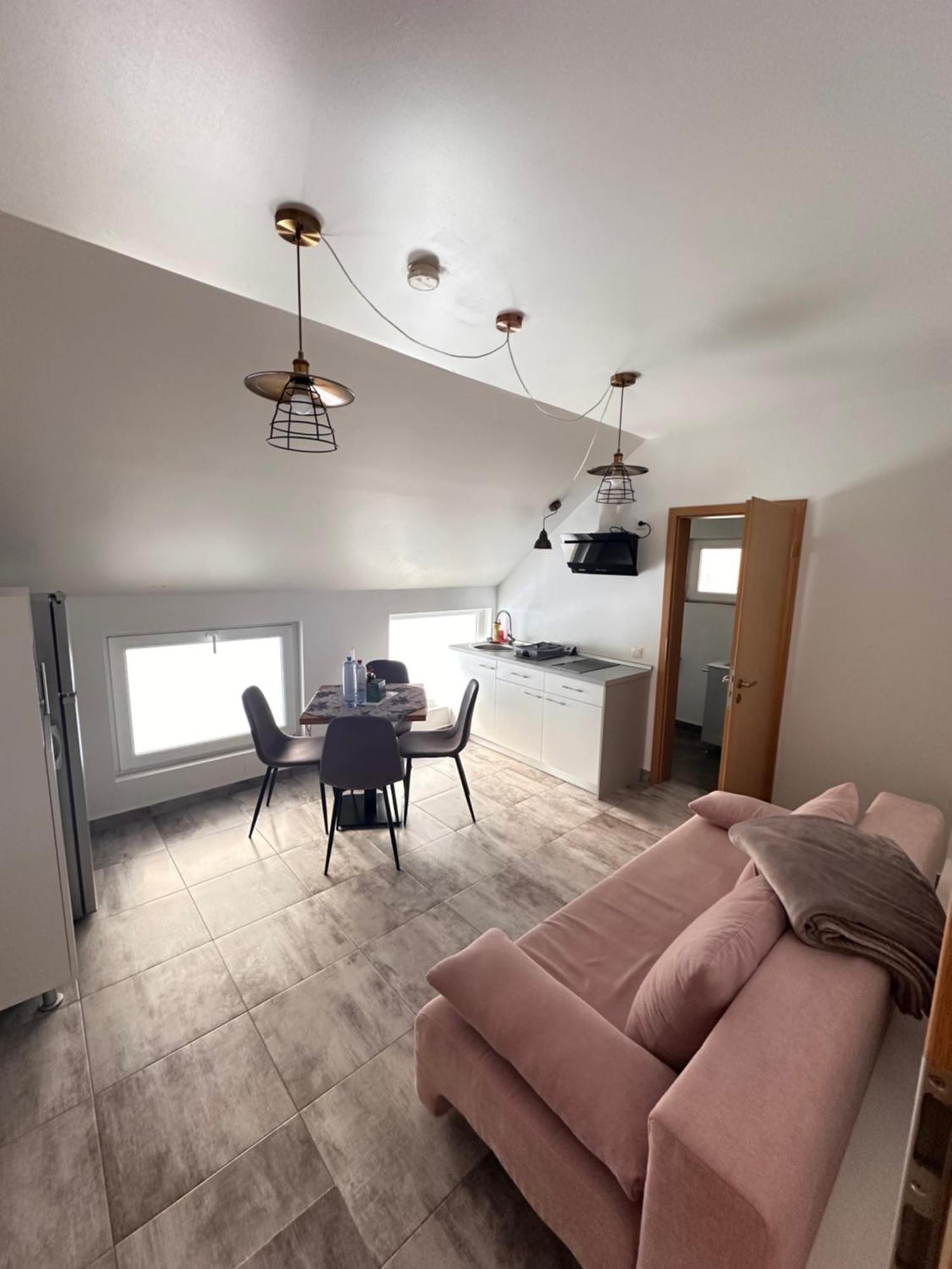 Red Family Apartments Păltiniş 外观 照片