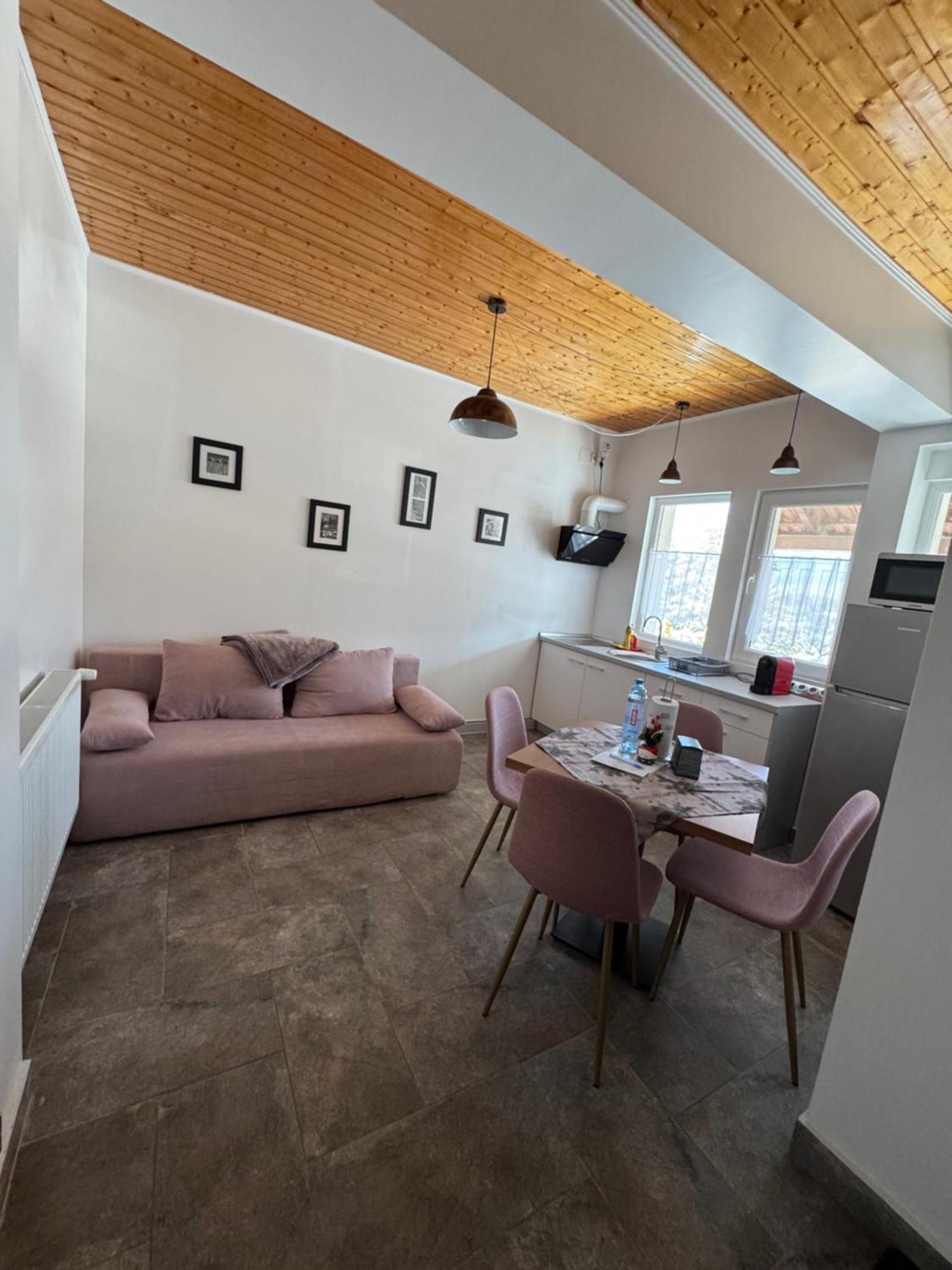 Red Family Apartments Păltiniş 外观 照片