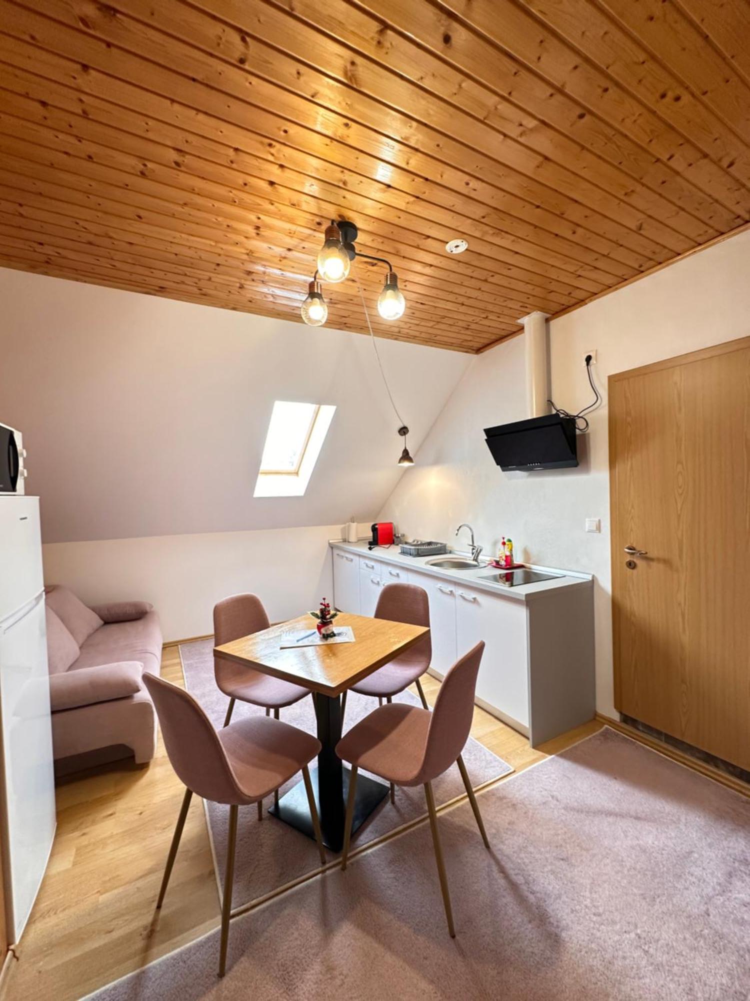 Red Family Apartments Păltiniş 外观 照片
